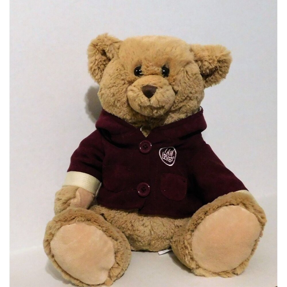 Helzberg Diamonds I Am Loved Teddy Bear Hoodie Jacket 2012 Valentine Plush